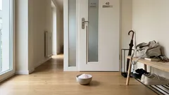 Salz neben der Haustür: Was Feng-Shui dazu sagt – und was ein freier Flur damit zu tun hat